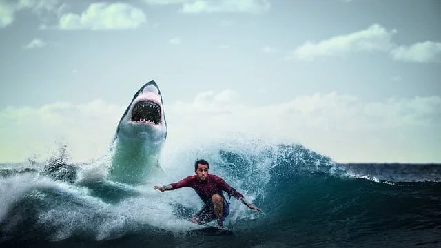 ataques-tiburones