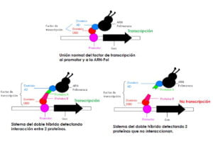 Sistema Híbrido