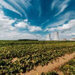 BENEFICIOS DE LA ENERGÍA NUCLEAR
