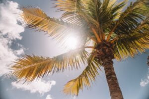 ENERGÍA SOLAR PASIVA