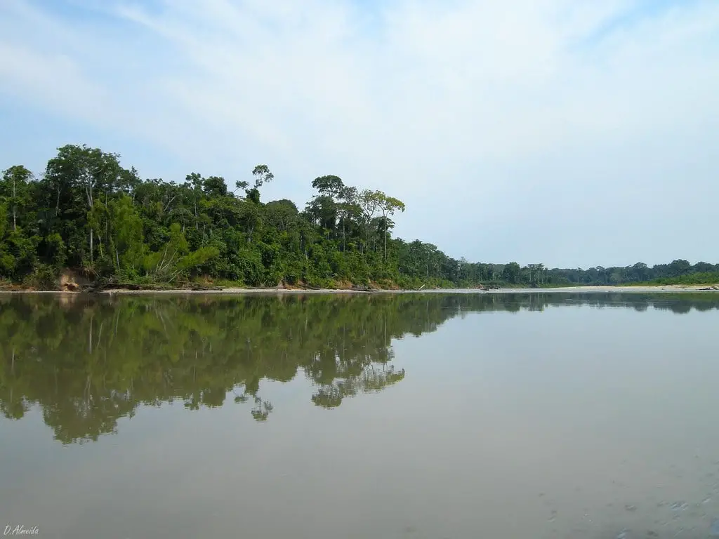 Región de Selva Amazónica de Perú