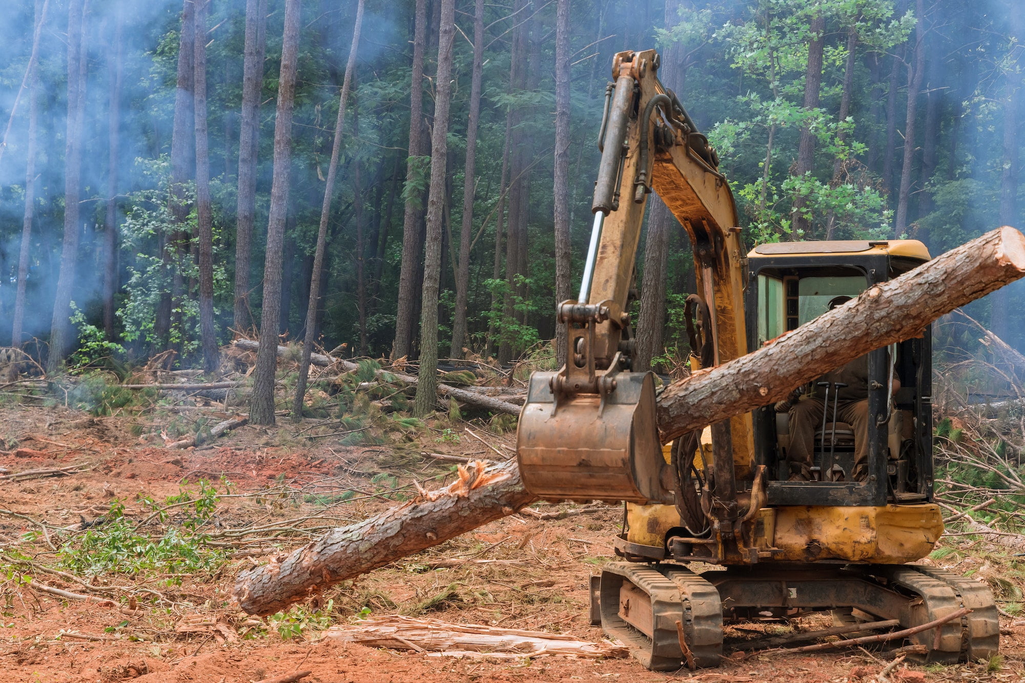 As part of the deforestation process, a tractor manipulator lifts logs from trees and uproots them
