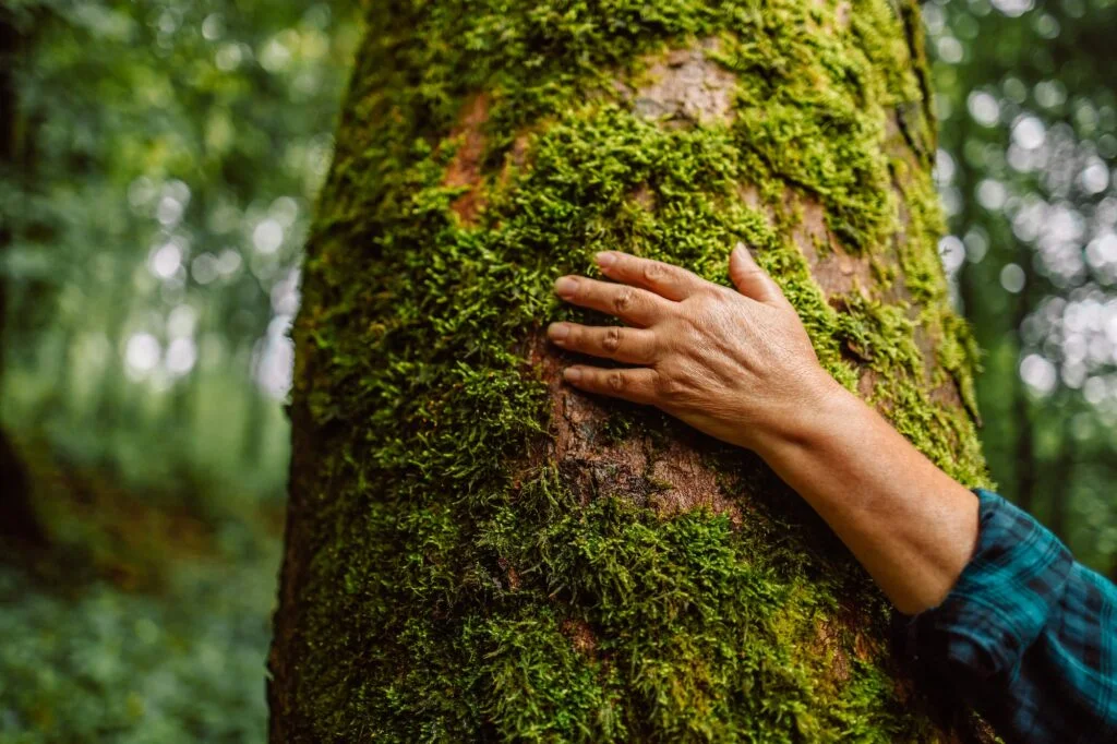 Ecología. Foto por Envato.