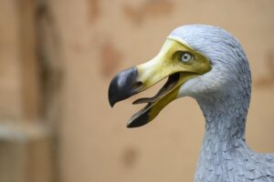 Pájaro Dodo. Foto por Envato