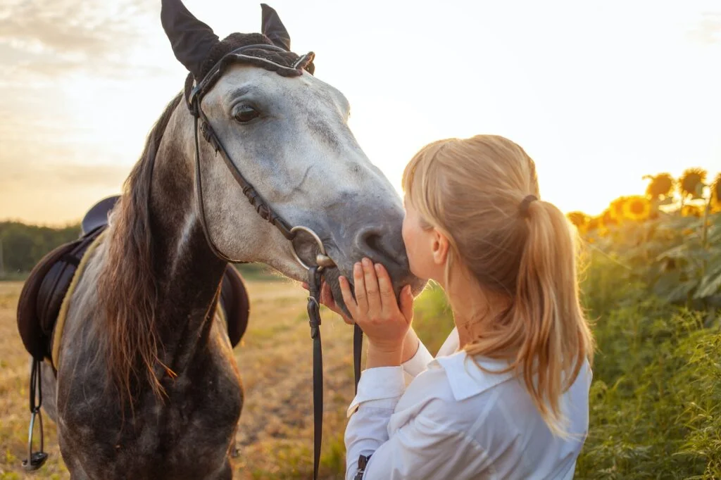 love and friendship to the animal