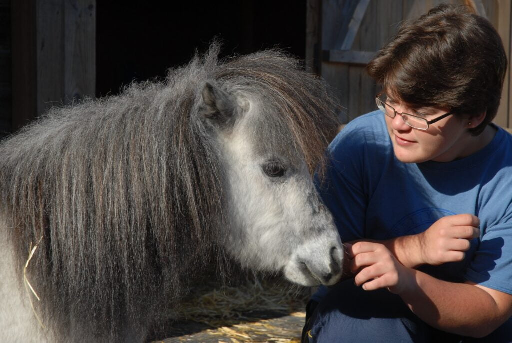 Pretty young girl with her cute pet, a miniature Falabella horse